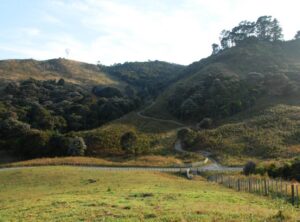 Northern view of revegetated hillsides