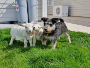 Orville, Wilbur and Jack